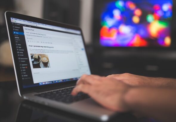 wordpress-923188_640