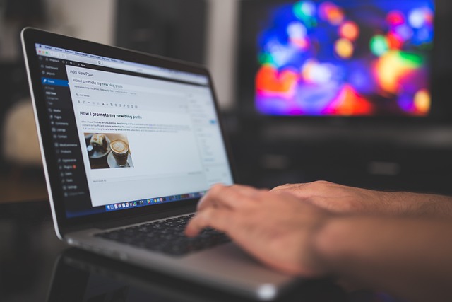 wordpress-923188_640
